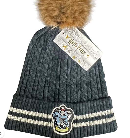 Harry Potter Ravenclaw Ski Hat