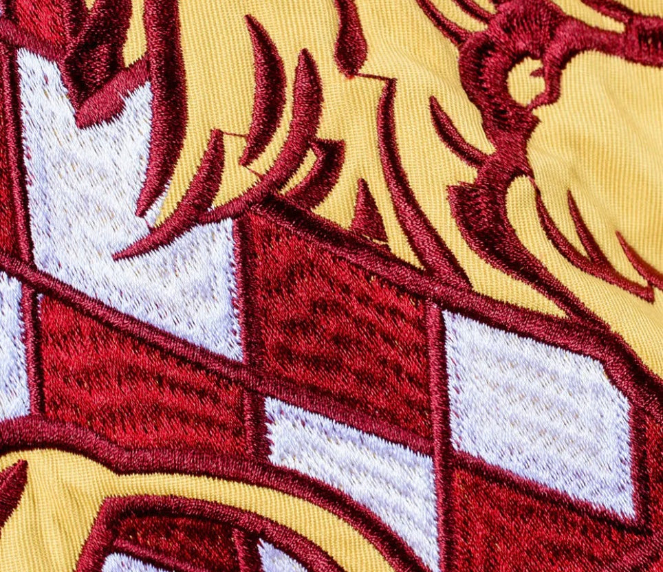 Harry Potter Gryffindor Blanket Hoodie